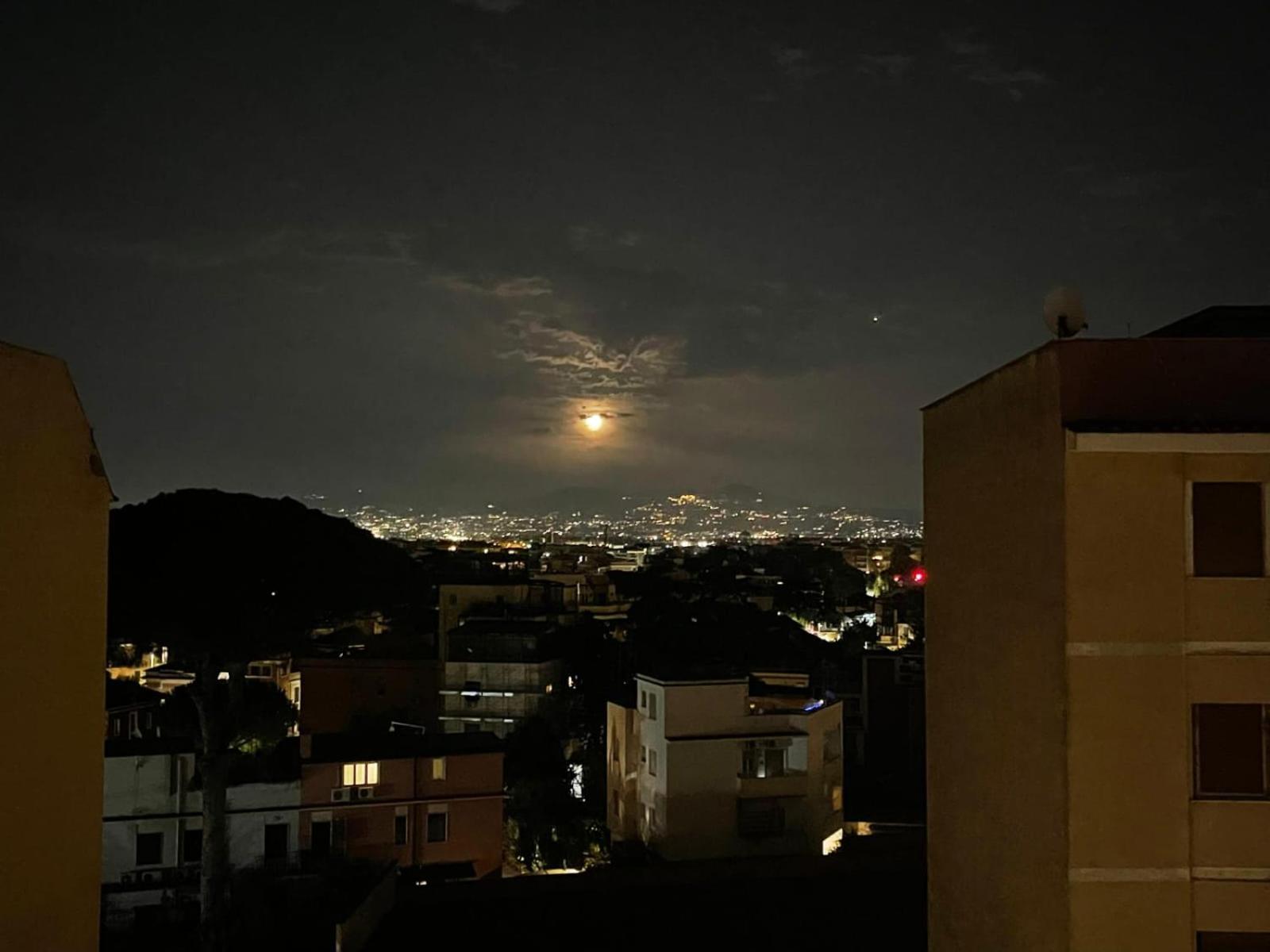 Apartamento View House 